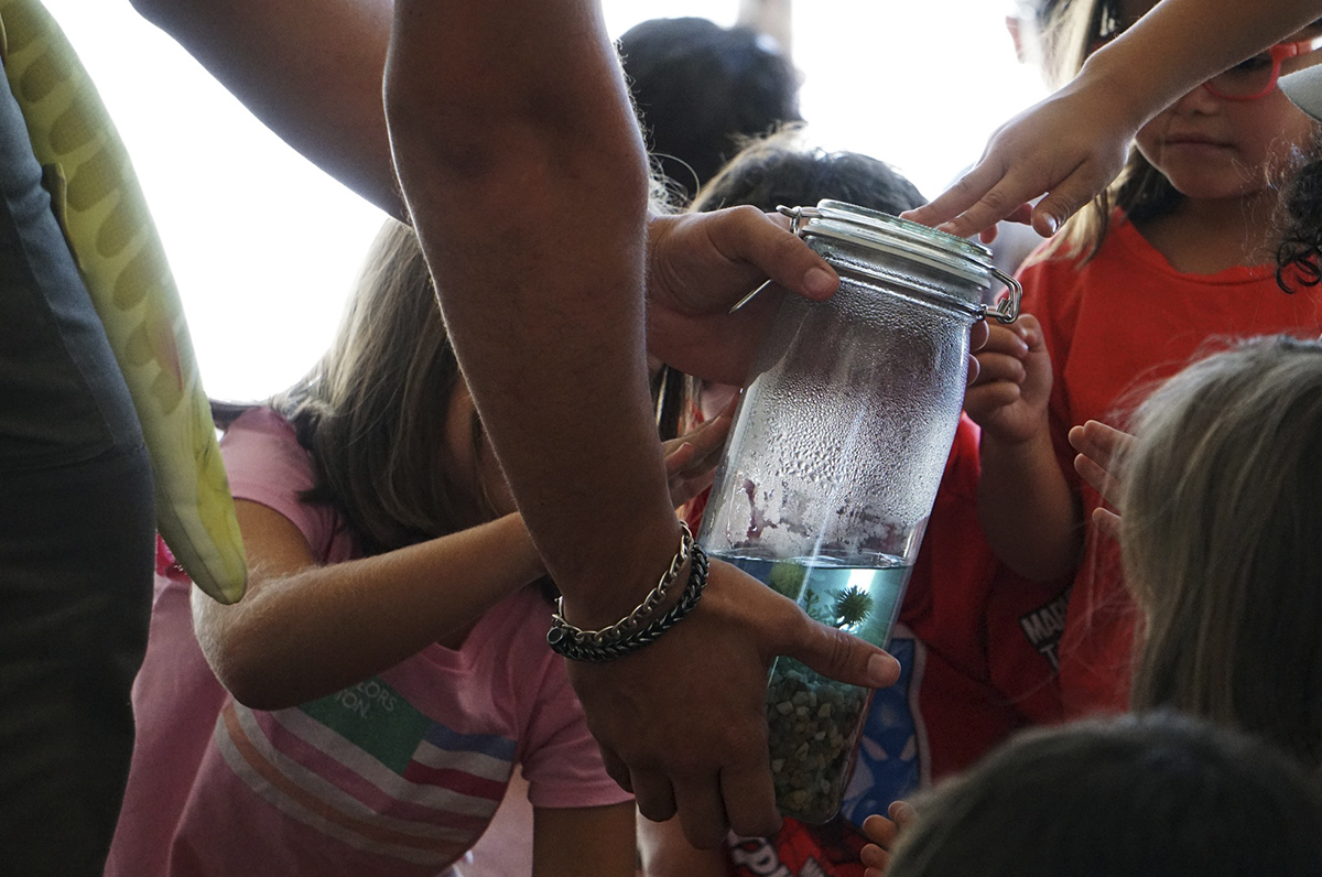 1º Ciclo - H2O 360º